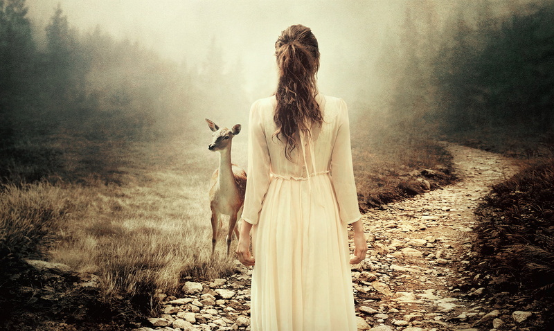 women, day, standing, forest, lifestyles, Photoshop, plant, mist, dirt road, field, adult, fawns, landscape, long hair, white dress, young adult, stones