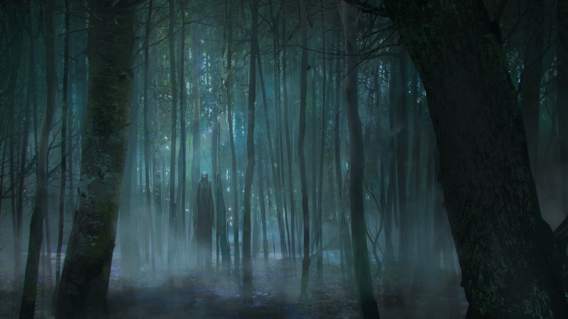 woodland, tranquil scene, plant, trunk, no people, spooky, tranquility, scenics - nature, beauty in nature, nature, mystery, forest, land, 1080P, tree trunk