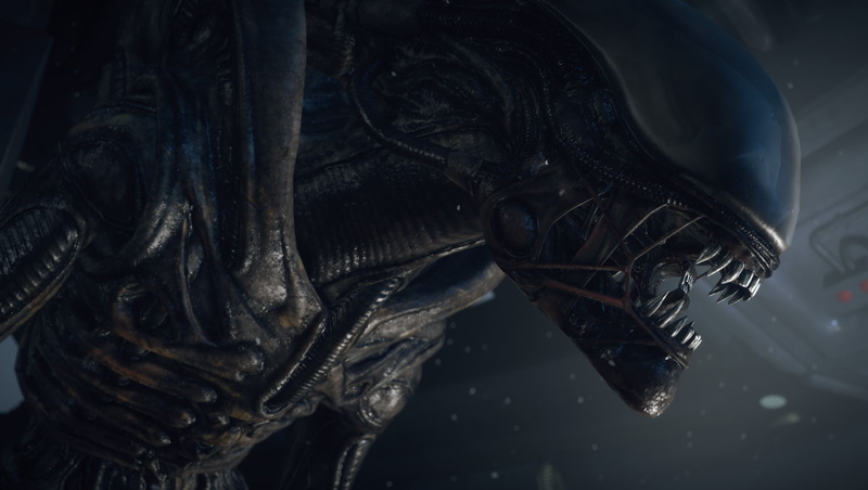 no people, animal head, animal body part, mouth open, animals in the wild, nature, Creative assembly, Ellen ripley, water, reptile, animal, one animal
