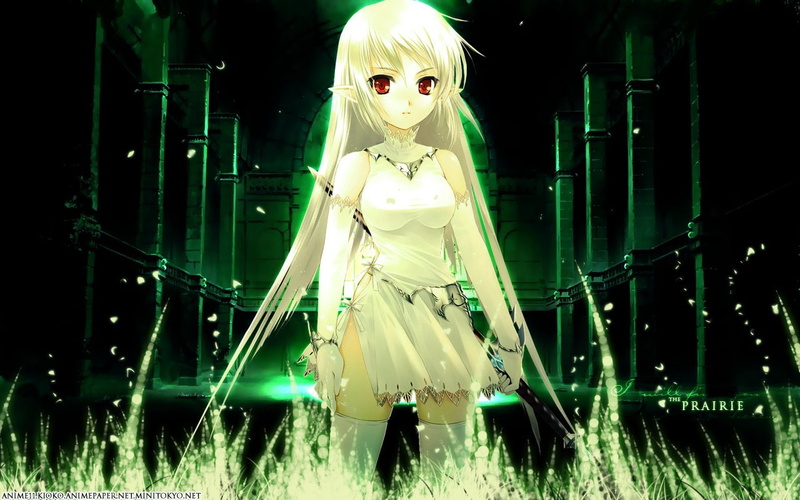 720P, Girls Avenue, Anime