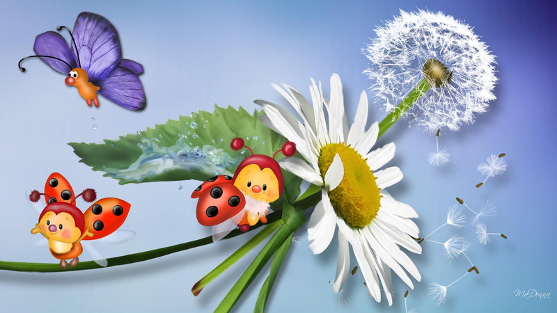 lady bug, dandelion, blue, butterfly, whimsical, firefox persona, 3d and a, fluff, ladybug, bugs, flower, 1080P, life