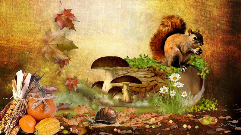 pumpkin, apples, falls, fall, harvest, 1080P, squirrel, brown, nuts, whimsical, toad stools, bounty, indian corn, flowers, painting, pumpkins, daisies