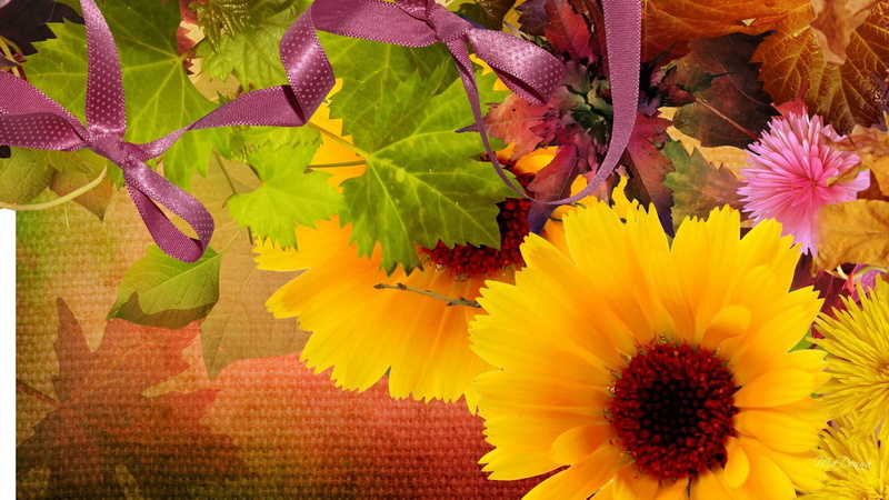 colors, leaves, bright, beautiful ribbon, orange, gold, falls, flowers, fleurs, chrysanthemums, fall, brilliant, 1080P