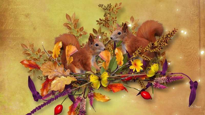 sticks, cute, twigs, butterfly, grass, leaves, falls, fall, friends, firefox persona, 1080P, berries, whimsical, autumn