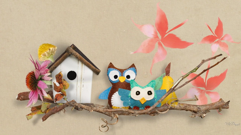 owls, 1080P, twigs, whimsical, fall, cute, birds, autumn, leaves, flowers