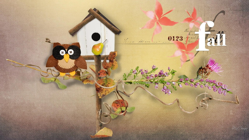 whimsical, leaves, 1080P, bird, pear, bird-house, owl, treat, autumn, flowers, cute, fall