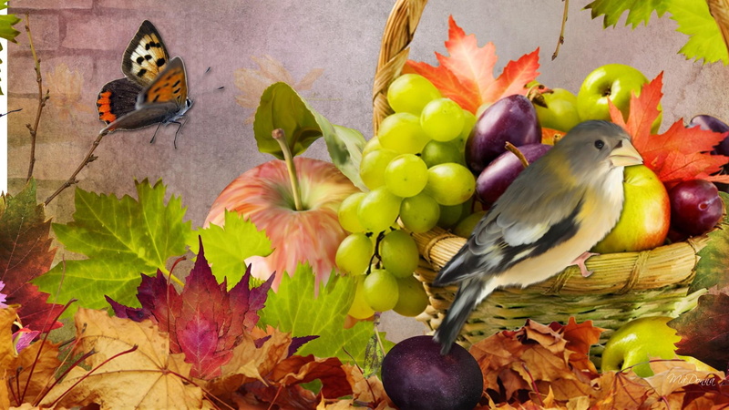 1080P, butterfly, harvest, bright, brick wall, bird, papillon, fun, grapes, plenty, prunes, leaves, apples, fall