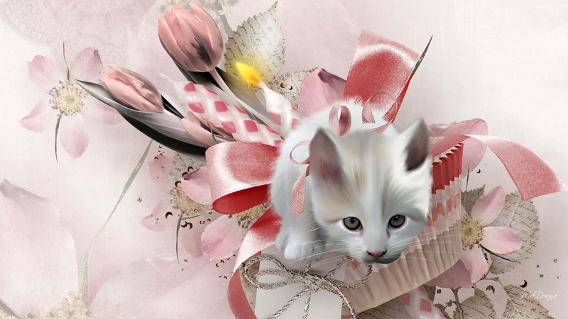 cute, ribbon, feline, pink, kitten, bouquet, sweet, spring, fleurs, candle, whimsical, tulip, 1080P, flowers