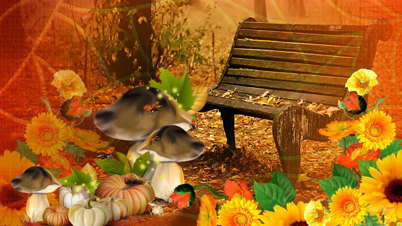 day, leaves, flowers, gourds, mushrooms, fleurs, thanksgiving, bright, 1080P, pumpkin, harvest, october, fall, ladybugs