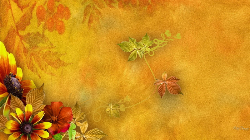leaves, gold, autumn, orange, fall, 1080P, flowers, fine, vines