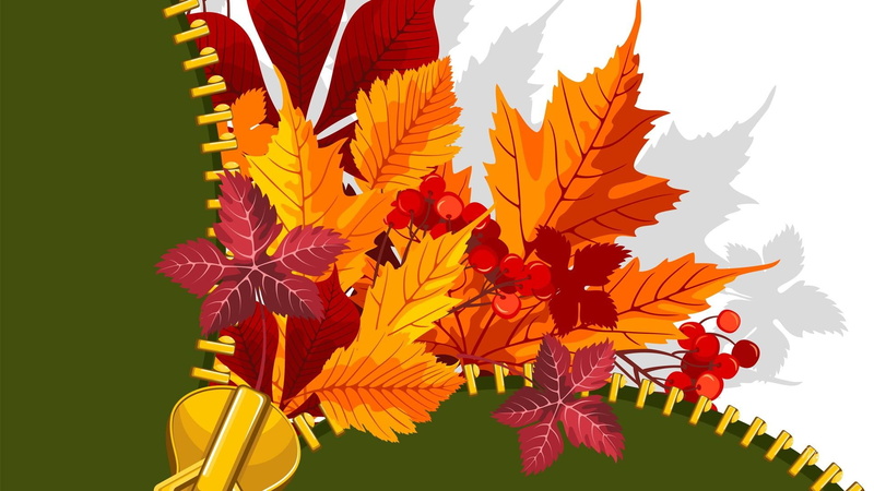 fall, 3d, zipper, shadow, bright, maple, mountain ash berries, abstract, autumn, leaves, 1080P, gold, orange, unzipped
