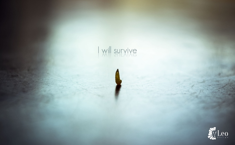 studying, formula, day, worm, handwriting, indoors, education, western script, selective focus, 4K, text, Funny, ice, writing, no people, paper, sign