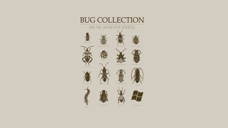 fun, 1080P, x, artwork, bug, art, minimalistic, animals, microsoft, bugs, hd, windows