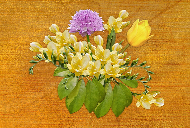pollen, indoors, background yellow, leaf, 5K, flowering plant, vulnerability, postcard, inflorescence, flower head, beauty in nature, bouquet, plant, flowers