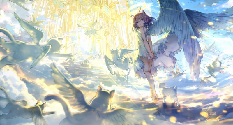cat girl, day, spirituality, no people, plant, sunlight, short hair, gray eyes, cat, human representation, beauty in nature, angel, sculpture, creativity