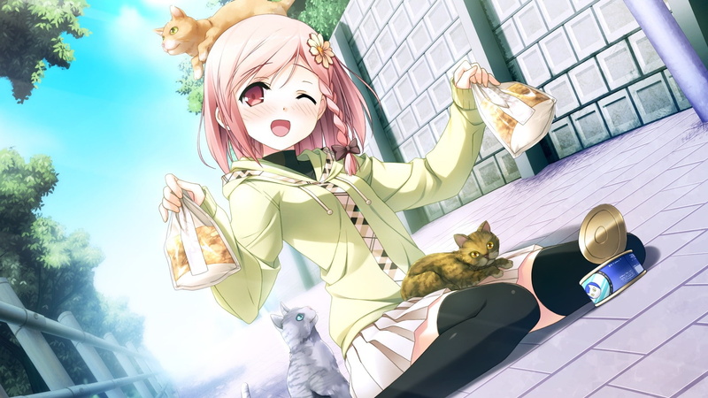 blushing, anime girls, Yua (Your Diary), short hair, Your Diary, pink hair, anime, cat, 1080P, Kantoku