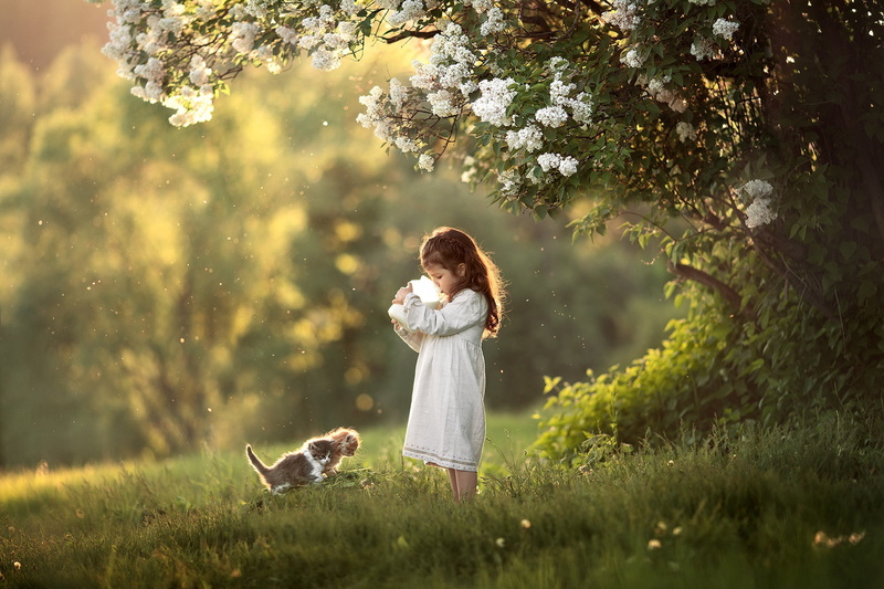 Girl, 1080P, Pet, Cat, Child, Photography, Little Girl, Kitten