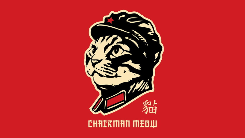 red, meow, indoors, humor, portrait, profile view, poster, colored background, headshot, cat, representation, minimalism, sign, text, chairman, creativity