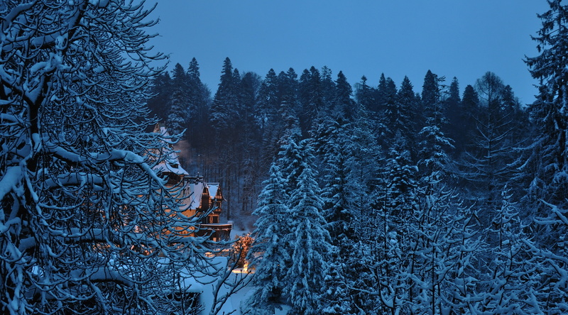 non-urban scene, Architecture, woodland, 4K, tranquil scene, castelulpelisor, tranquility, scenics - nature, fotografie, Winter, land, cold temperature