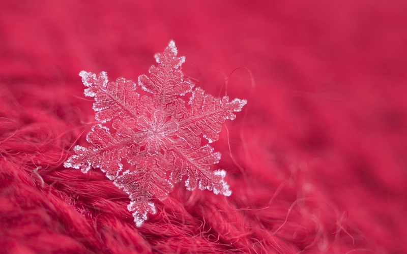 pink, 720P, winter, Snowflake, iarna
