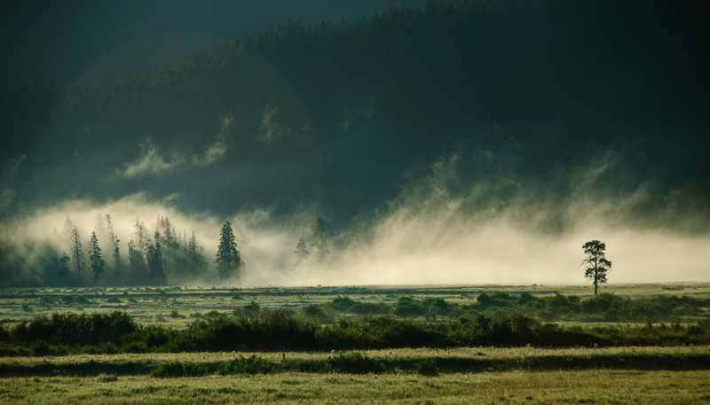 4K, fogs, lamar, outdoors, landscape photography, greenfield, sky, forest, Lamar Valley, mist, landscape, rural Scene, valley, nature, scenics, tree, Wyoming