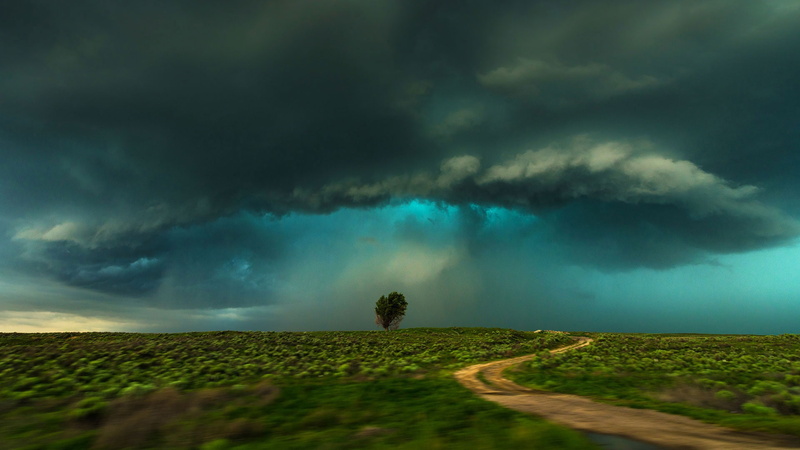 Lamar, 1080P, field, USA, storm, Colorado, clouds, tree