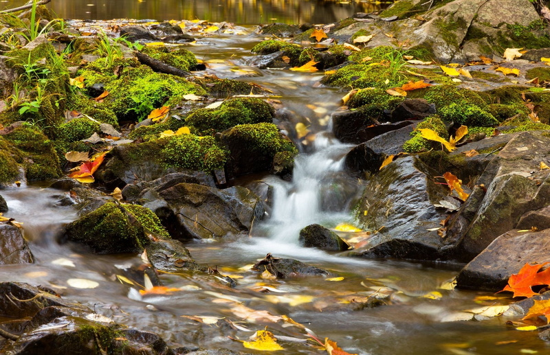 beauty in nature, motion, blurred motion, no people, leaves, stream - flowing water, flowing water, long exposure, water, river, Lester Park, nature, falling water