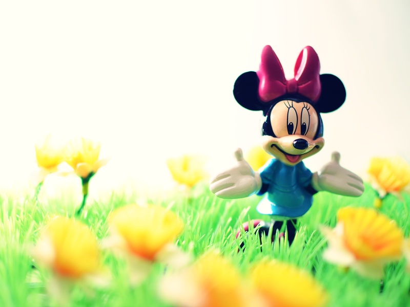springtime, figure, photography, growth, fragility, vulnerability, easter, freshness, flowers, 2K, close-up, nature, minnie, happy, toy, outdoors, field