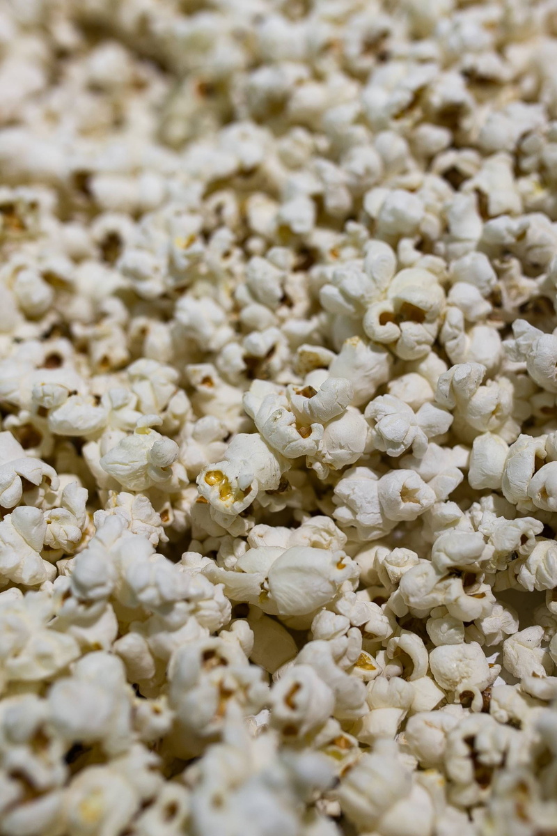 no People, white, vegetarian Food, snack, day, corn, unhealthy eating, Close-up, indoors, flower, food And Drink, nature, full frame, freshness, plant