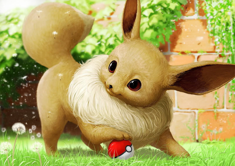 1080P, Pokémon, Eevee (Pokémon)