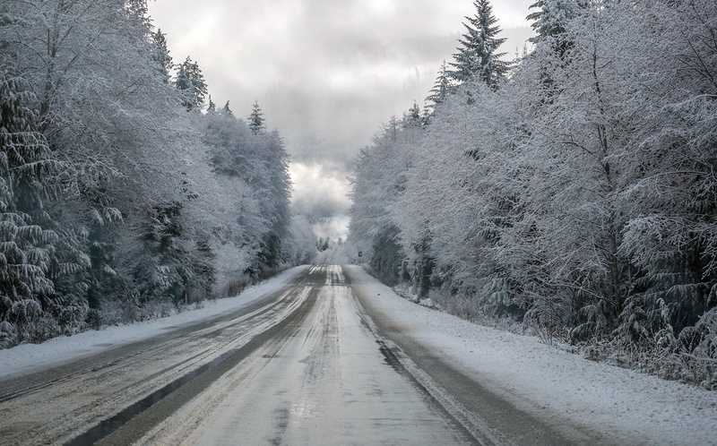 treelined, the way forward, ice, non-urban scene, direction, pine tree, vanishing point, day, plant, trees, snowing, forest, 1080P, cold temperature, transportation