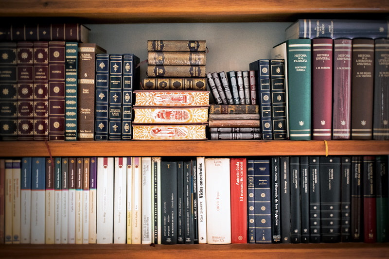 literature, display cabinet, hardcover book, culture, large group of objects, shelf, college, order, reader, choice, arrangement, studying, 5K, variation