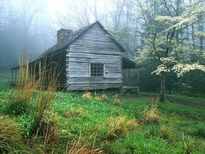 wood house, mist, house, outdoors, building exterior, old, wood - material, gray, field, cottage, growth, grass, no people, forest, land, abandoned, 720P