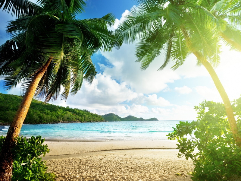 scenery, 1080P, nature, no people, thailand, tranquility, day, scenics - nature, palm tree, turquoise colored, outdoors, cloud - sky, hd, travel, green color