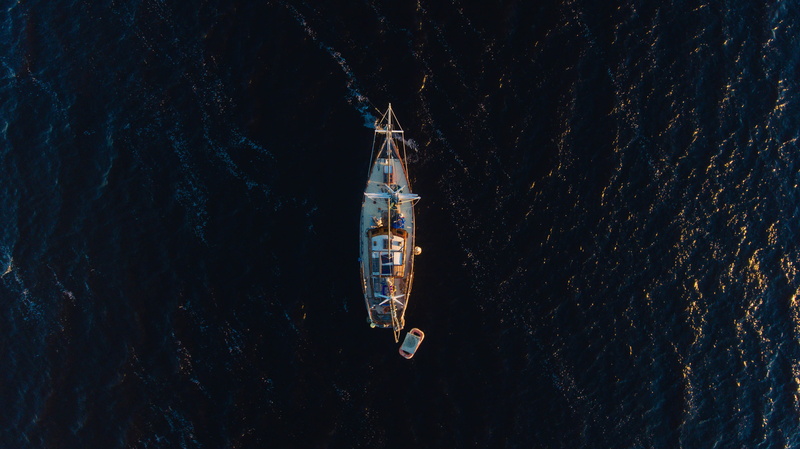 view, transportation, day, animal themes, aerial, directly above, waterfront, sailboat, swimming, no people, body, yacht, sea, Lost at Sea, boat, aerial view