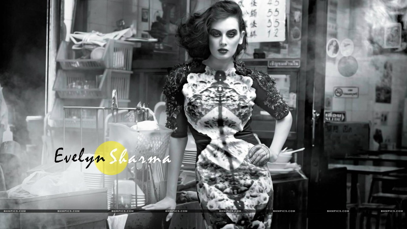 evelyn, sharma, actress, female celebrities, evelyn sharma, bollywood, lakshmi, 1080P