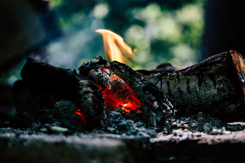 black Color, animals in the wild, focus, smoke - Physical Structure, bonfire, 4K, sea, nature, fire, glowing, selective, firewood, backgrounds, close-up