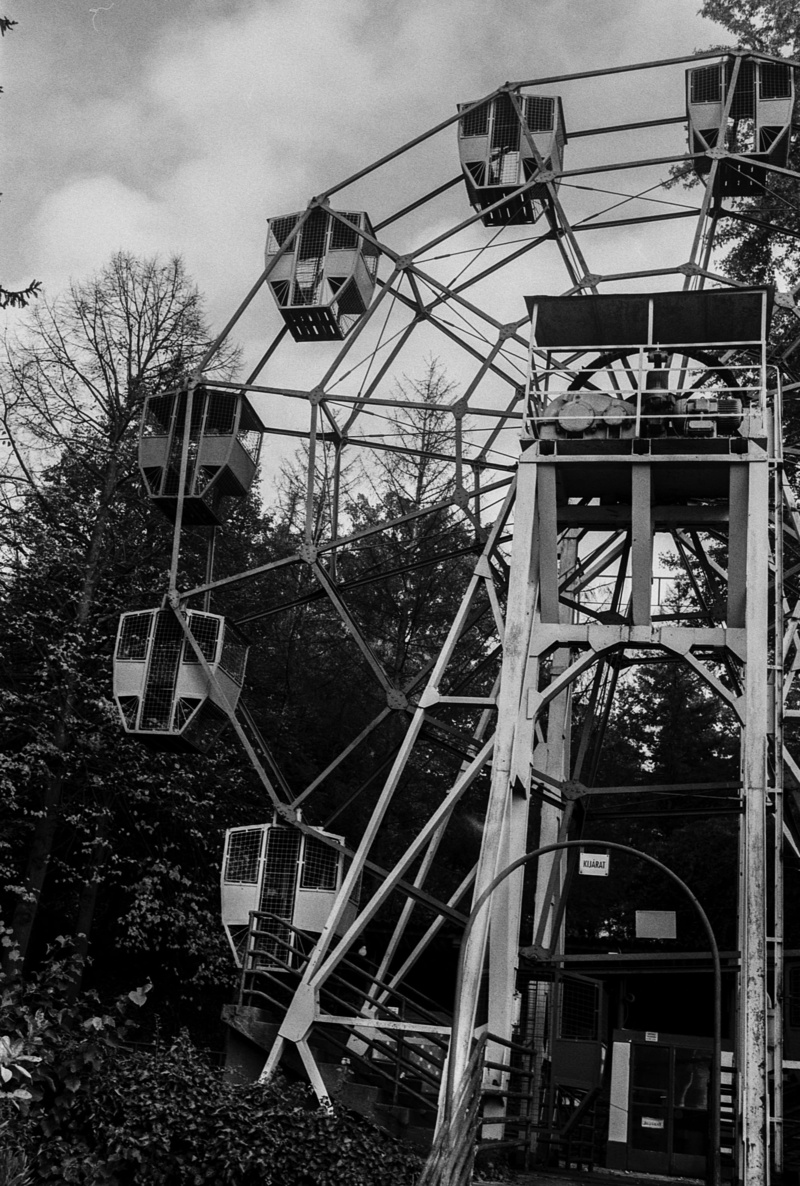 ride, fairground, amusement park ride, built structure, Ferris Wheel, day, metal, fair, plant, track, outdoors, carnival, park, theme, rail transportation
