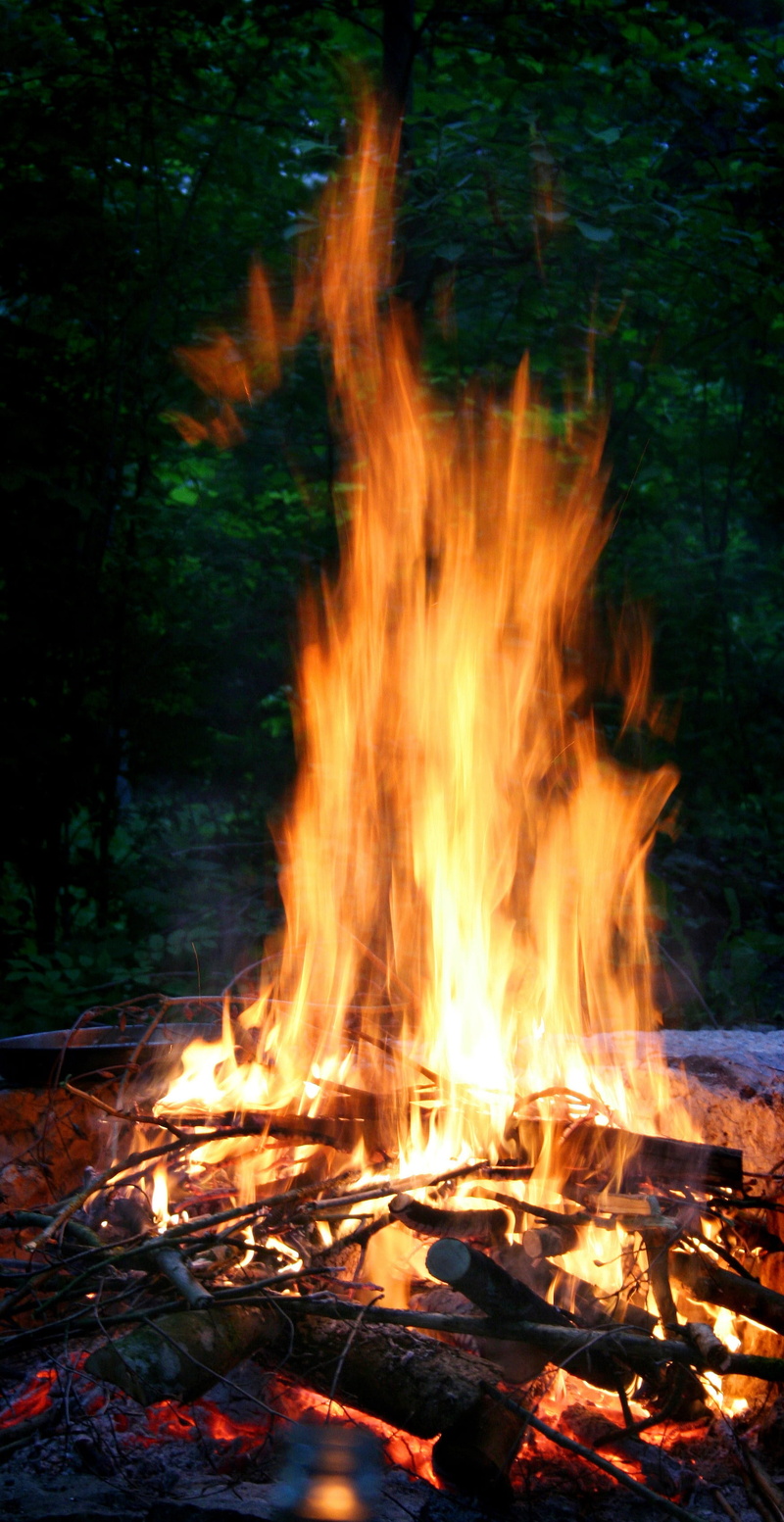 campfire, orange color, burning wood, outdoors, burn, barbecue, brand, ash, burning, heat, grill fire, heat - temperature, bonfire, nature, wood - material