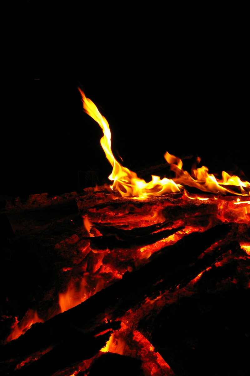 glowing, log, shine, heat - temperature, firewood, campfire, inferno, fire - natural phenomenon, winter, shining, coal, 2K, outdoors, orange color, ember
