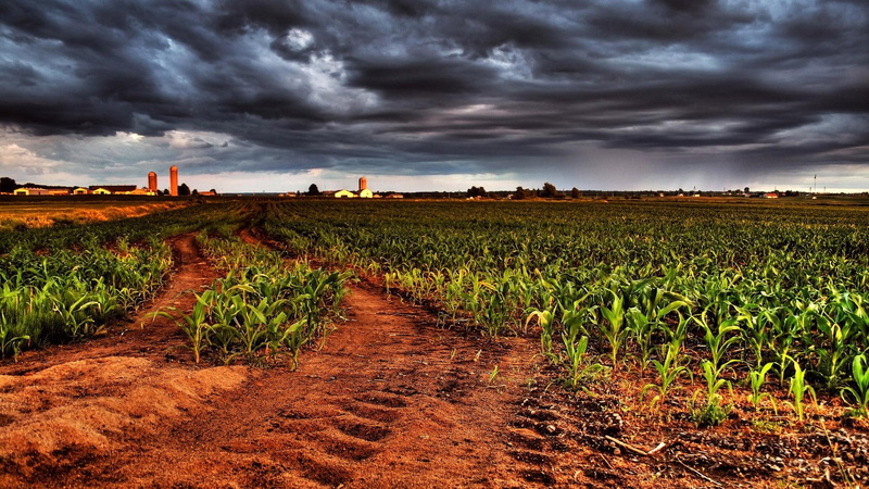 hdtv, field, ominous, 3d and a, its so cool, colorful, agriculture, 1080P, p, hd 1080p, dark, hdtv 1080p, thunderclouds