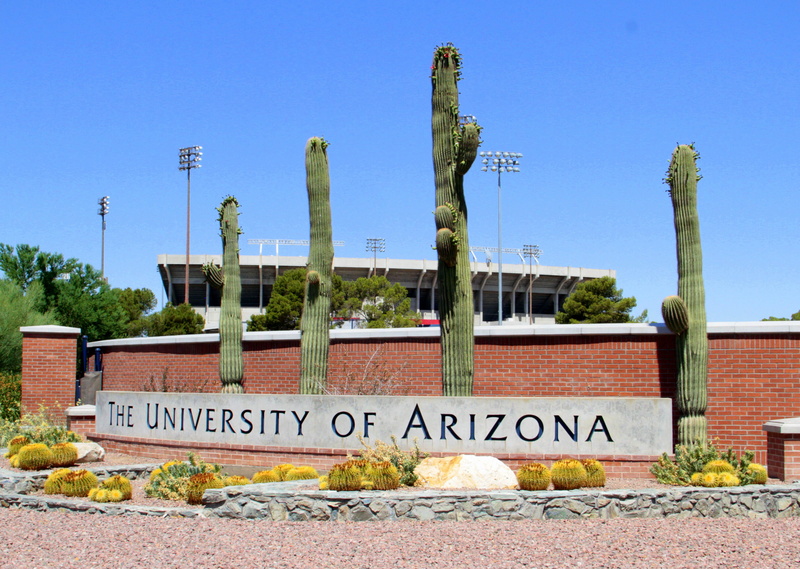 photo, sign, architecture, sunlight, institution, arizona, United States, cactus, nature, clear sky, day, Arizona, western script, university, college