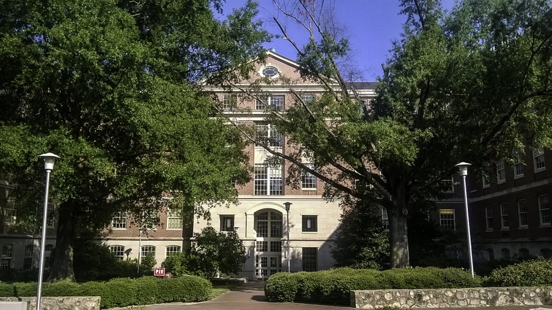 green color, built Structure, photos, religion, outdoors, university of North Carolina at Chapel Hill, carolina, building, public domain, plant, building Exterior
