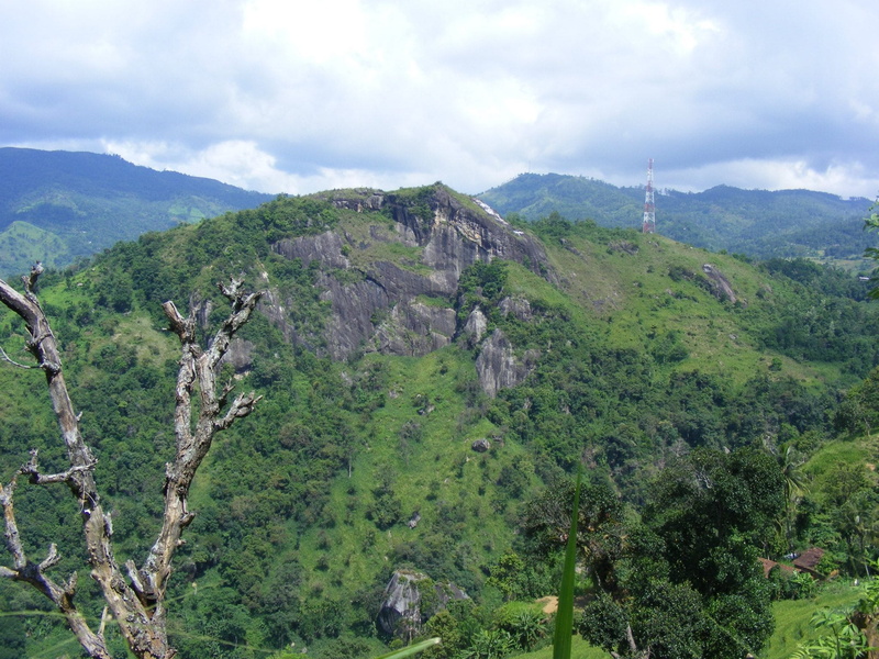 mountain range, day, sky, Trees, land, wild, cliff, plant, peaks, cloud - sky, hillside, altitudes, landscapes, landscape, nature, growth, scenic, idyllic