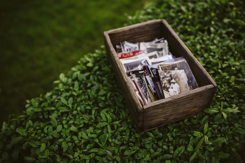 photos, book, outdoors, memories, photography, focus on foreground, close-up, growth, wood - material, no people, 4K, pictures, Old, nature, box - container