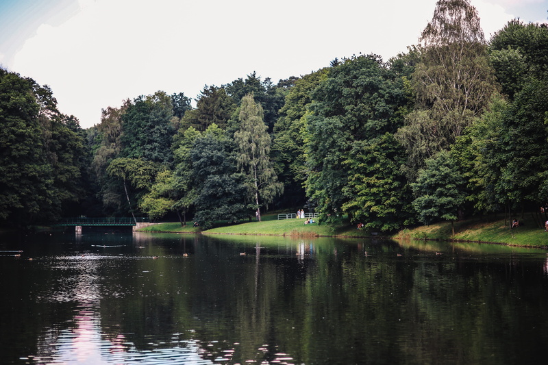 plant, water, park, reflection, no people, green, tranquil scene, summer, non-urban scene, tree, day, idyllic, tranquility, river, landscape, sunny, forest