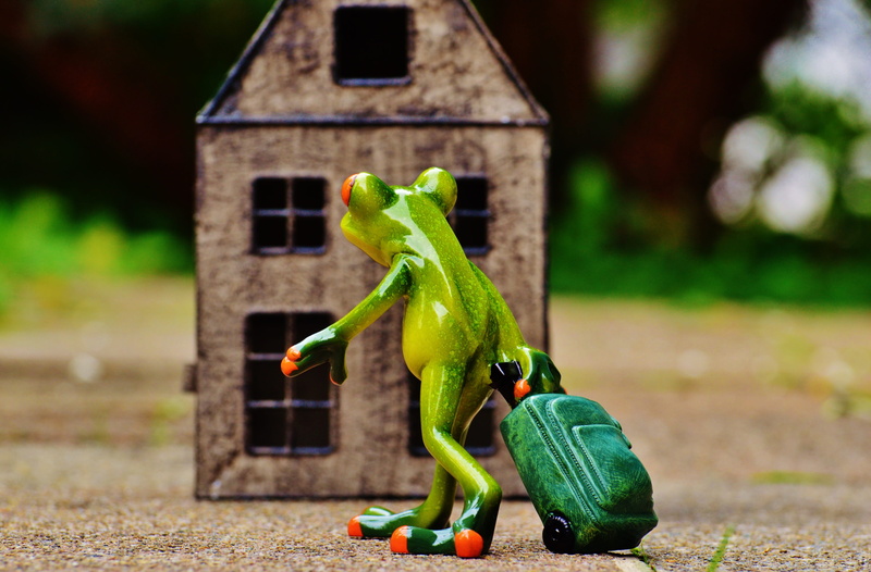 Sweet, animal themes, vegetable, bird, full length, ceramic, 4K, luggage, trolley, close-up, Home, green, pulling, funny, eating, green color, representation