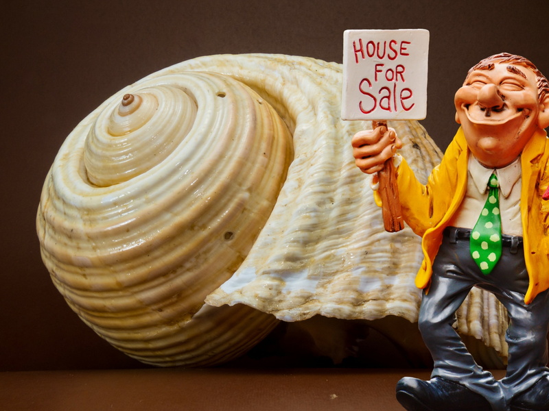 indoors, funny, home, limb, one person, standing, fun, wearing, tie, blazer, human arm, sale, service, commitment, shell, human body part, adult, sell