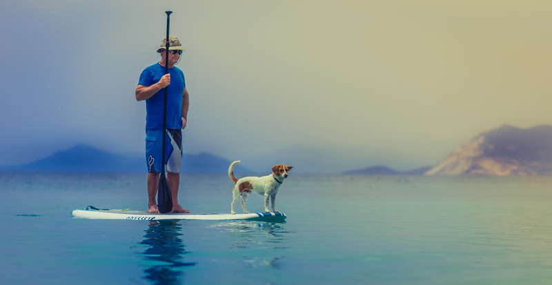 fisherman, person, fishing, pets, full length, nature, animal, pet, one animal, surfing, beauty in nature, neck, dog, paddle, white, mature men, blue, domestic