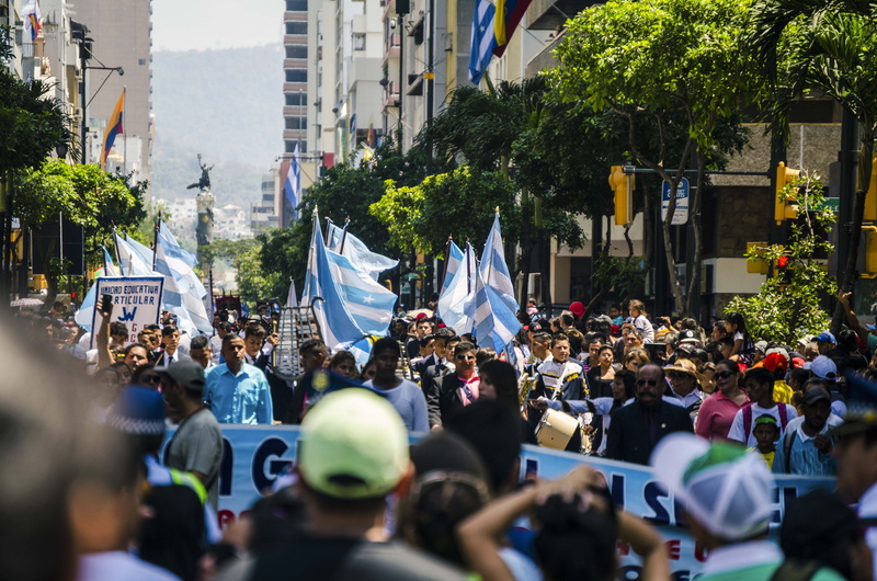city life, people, flags, adult, men, built structure, rally, large group of people, tree, demonstration, plant, focus, action, real people, protestor
